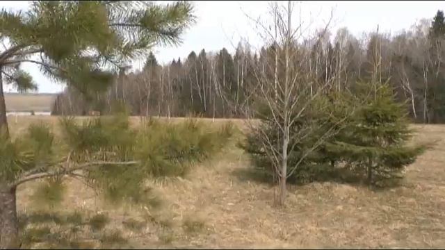 Моё поместье смотреть онлайн