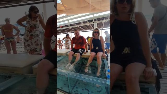 Пилинг рыбками Гарра Руфа в Лазаревском. смотреть онлайн