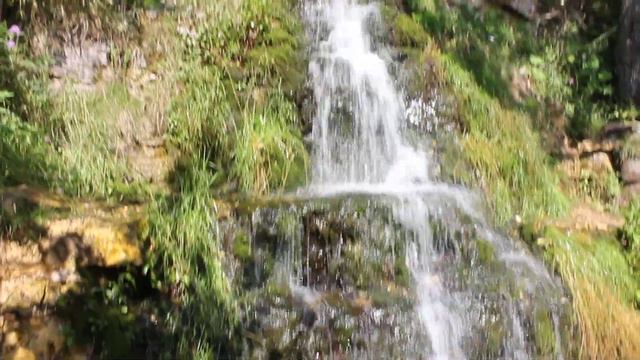 Тверская область, Торжокский район, д. ПанИка, водопад, 27 июля 2019 года смотреть онлайн