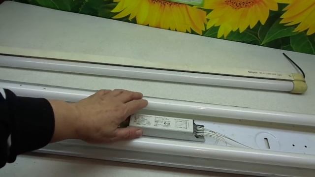 Стройка Успеха