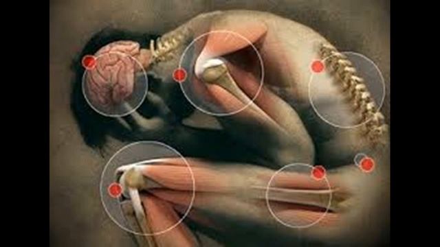 Как лечить и вылечить сальмонеллы брюшного тифа Брюшной тиф смотреть онлайн