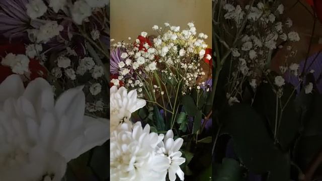 Красивый букет смотреть онлайн