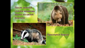 Презентация Весна