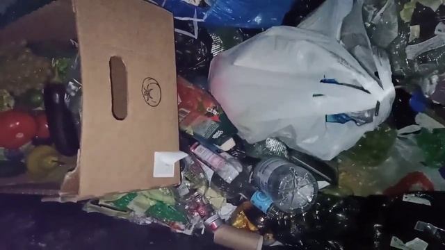 НАХОДКИ НА МУСОРКЕ смотреть онлайн