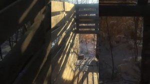 Моя баня из поддонов за 2000₽ #баня #стройсам #строитель #временнаяьаня