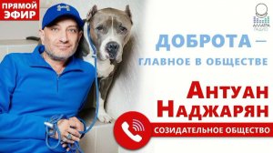 Доброта — главное в обществе  Антуан Наджарян   АЛЛАТРА РАДИО LIVE