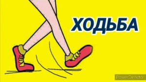 Ответ шумным соседям. Ходьба по деревянному полу на 12 часов