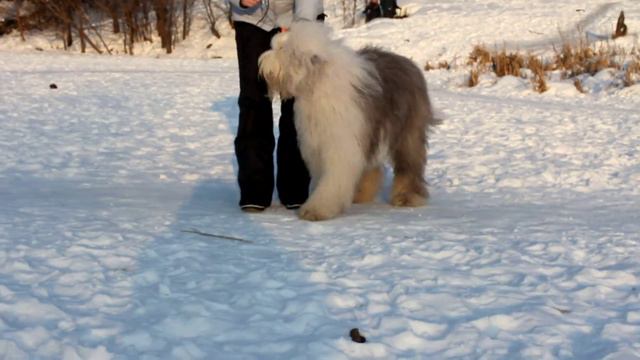 Джелл опять бегает смотреть онлайн