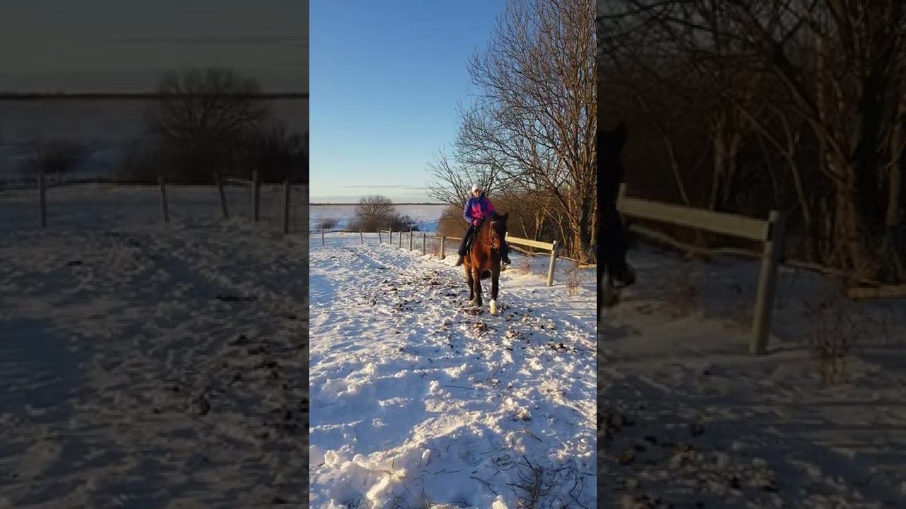 Первый раз сама верхом смотреть онлайн