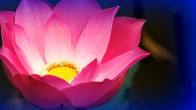 Роль Души в процессе Вознесения