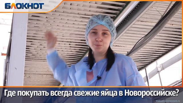Где всегда покупать свежие яйца в Новороссийске? смотреть онлайн