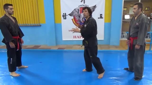 CÓMO DEFENDERSE 2 VS 1 CON AGARRE DEL OSO POR DETRÁS, 6ª LUXACIÓN, HAPKIDO 2016 смотреть онлайн