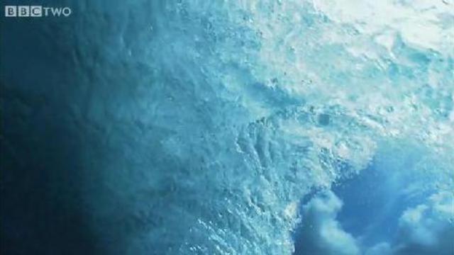 Царство воды! смотреть онлайн