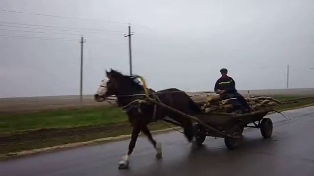На дороге Калмурзино (Ст. Александровка) — Бикбулово смотреть онлайн