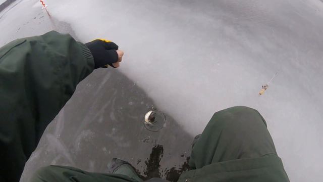 Можайское вдхр. Горетово. Видеоотчёт 9 декабря 2019 г. смотреть онлайн