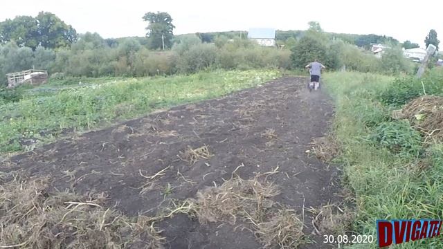 Мотоблок Нева с бороной на 2й передаче - собрал картофельную ботву смотреть онлайн