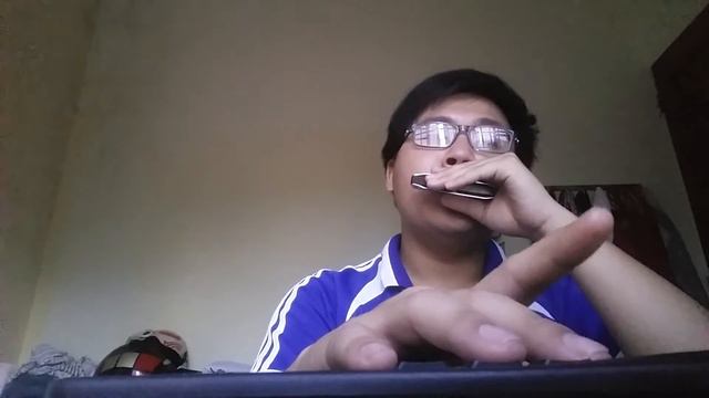 Bản tình ca đầu tiên cover harmonica смотреть онлайн