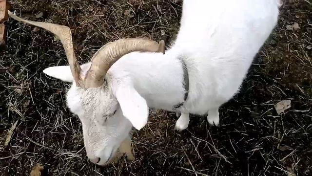 Внимание ждём всех в гости на Яндекс Дзен 25 февраля 2023 г смотреть онлайн