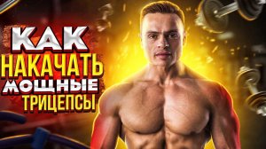 КАК НАКАЧАТЬ БИЦЕПС И ТРИЦЕПС ДЛЯ ПОДРОСТКОВ?