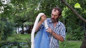 Как упростить сбор вишни  Как собирать вишню. Быстрый способ сбора вишни