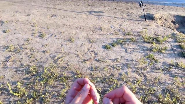 Как быстро собрать донную оснастку на берегу. Макушатник с быстросъёмной клипсой. смотреть онлайн