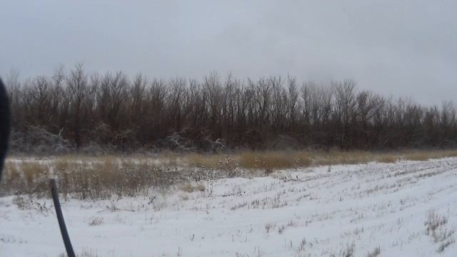 14) Когда зайцы не жируют 14.12.2015 г.mov смотреть онлайн