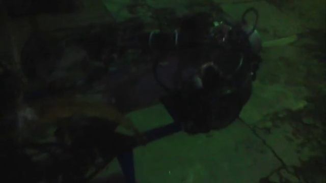 Щелушилка для кедровых шишек. смотреть онлайн