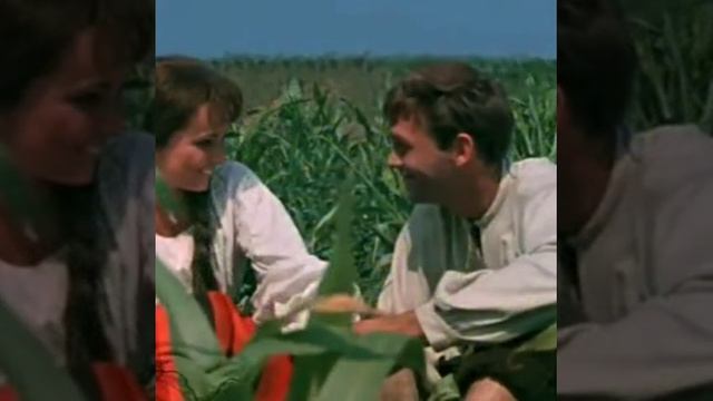 Украинская песня,, Черемшина,,