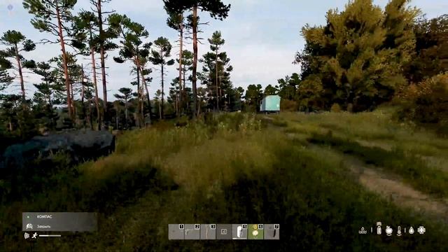 Стоит ли играть в DayZ Standalone?