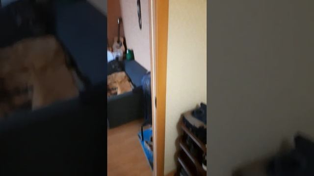 Как правильно приклеить уплотнительную ленту двери смотреть онлайн