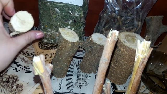 Погрызушки для Шиншилл! Кора деревьев, как Важный ингридиент рациона питания Шиншилл! смотреть онлайн