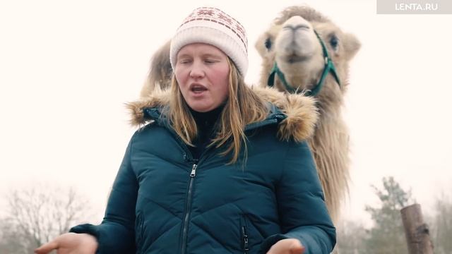 Как неравнодушные россияне спасают лошадей смотреть онлайн