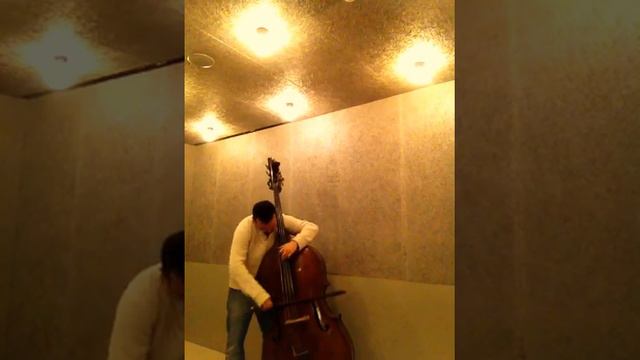 DITTERSDORF EVA PIRAZZI PIRASTRO strings Damián Rubido González, bass Follow links below for+string смотреть онлайн