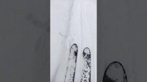 Финские охотничьи лыжи Laika в деле. На лесной прогулке.