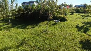 Люблю получать подарки Псков