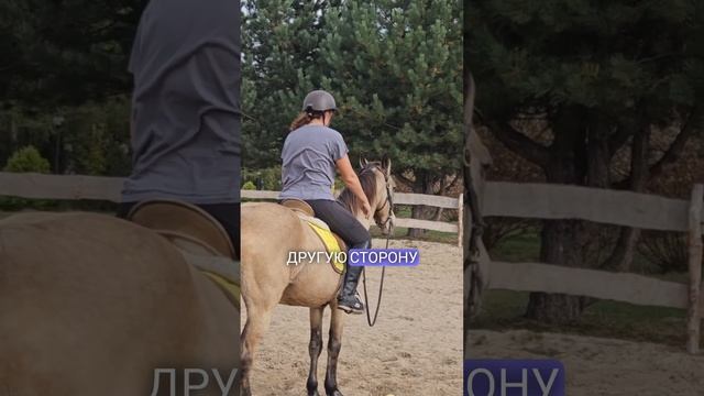 Как управлять лошадью верхом. Мини урок. смотреть онлайн