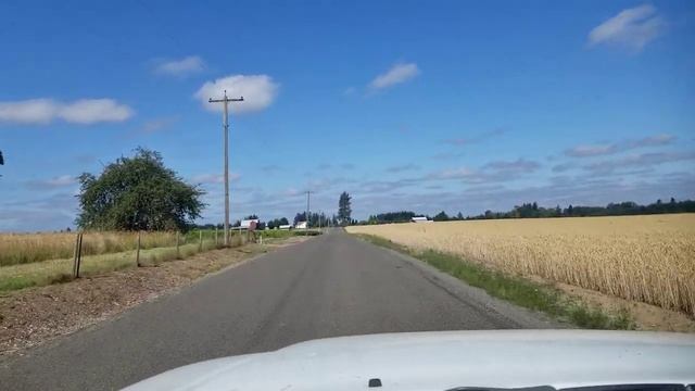 Зацветает семенной розовый клевер смотреть онлайн