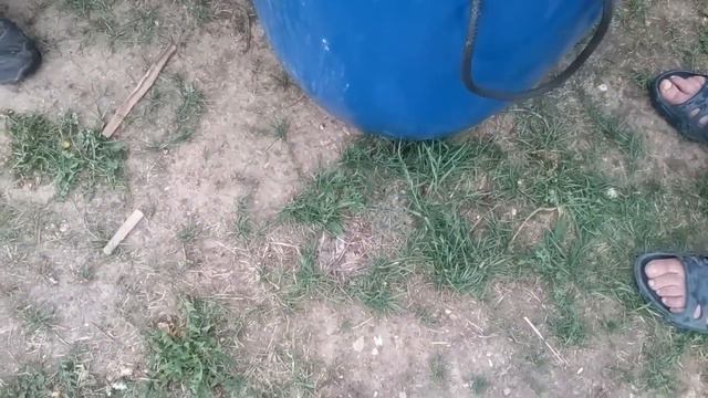 Продолжение выгрузки и зарыбление осетром. смотреть онлайн