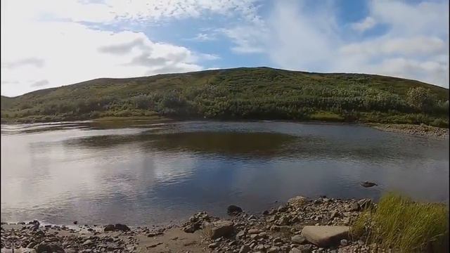 р Шапкина смотреть онлайн