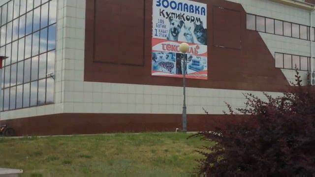 Зоопарк приехал, Рудный, ЦУМ, 18 июнь 2020 смотреть онлайн