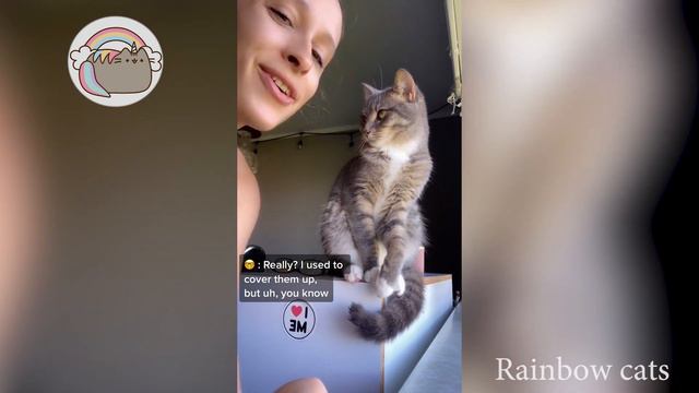 i like your ears thank you i like your spots tiktok cat compilation смотреть онлайн