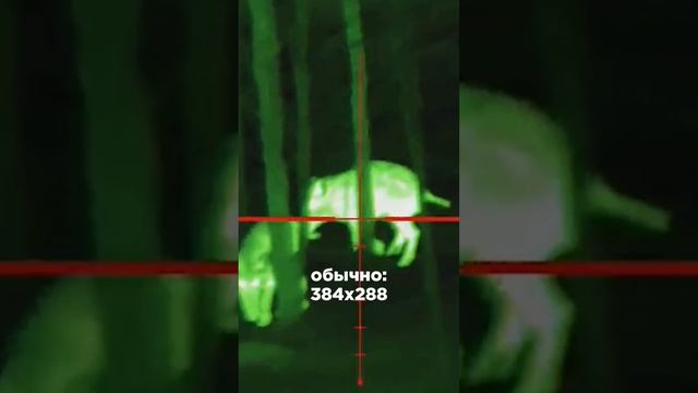 Новое видео на канале! ТЕПЛОВИЗОР КАК ОПТИЧЕСКИЙ ПРИЦЕЛ / ПЕРВАЯ ОХОТА НА КАБАНА смотреть онлайн