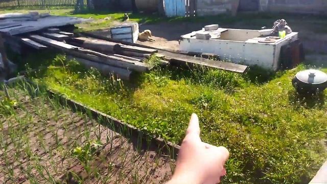 МОЙ ОГОРОД/ ОБЗОР ОГОРОДА 2023/ ЧТО ПОСАДИЛА В ЭТОМ ГОДУ? Настина жизнь в деревне смотреть онлайн