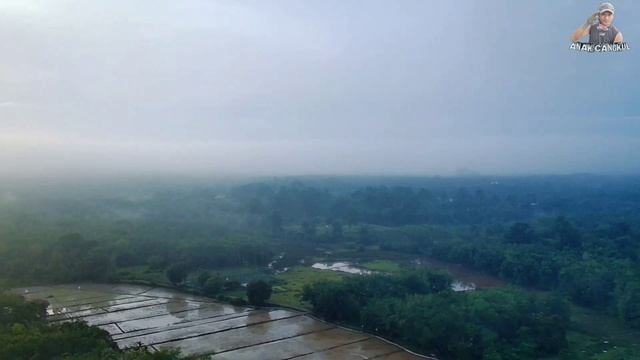 Mengenal Lebih Dekat Fungisida "DITHANE M-45 80 WP" смотреть онлайн