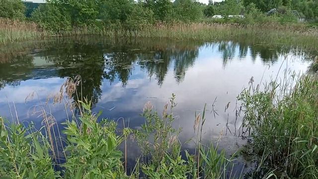 Телищево деревня Ярославля СНТ Дача Заброшенная или нет Ярославской области Липовая гора Фрунзенски смотреть онлайн