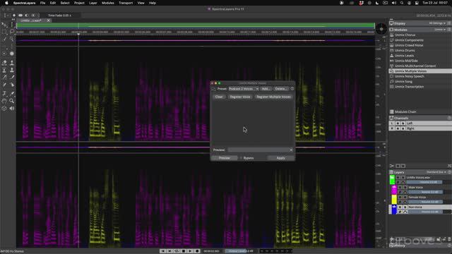 17. Registering & Naming Multiple Voices in UnMix