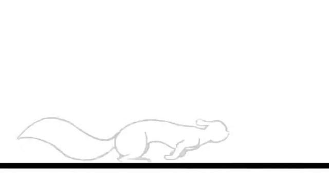squirrel run animation смотреть онлайн