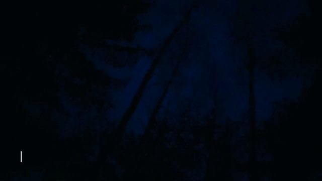 Охота на глухаря на току уже ПОДСНЕЖНИКИ 2023!!