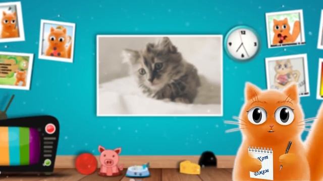 Умная ли у вас кошка? Тест с прикольным котом Джемом! ? смотреть онлайн
