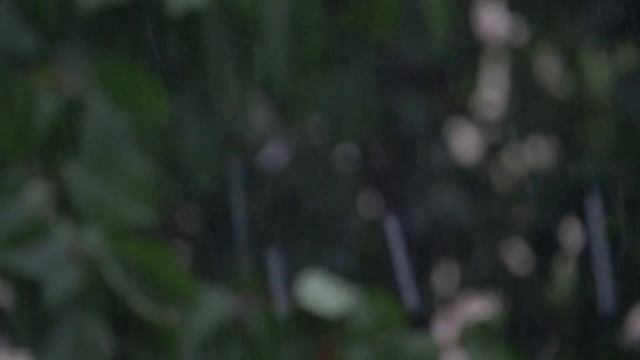 | ENDLESS RAIN IN THE FOREST | Instantly fall asleep and cure your sleep with a delightful rain. смотреть онлайн